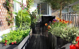 Идеи для создания уютного сада на балконе
